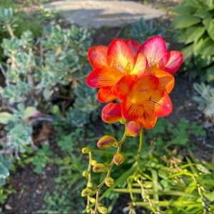 Meet your Posher, Jadyn